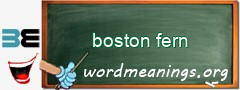 WordMeaning blackboard for boston fern